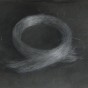 Silver Curl